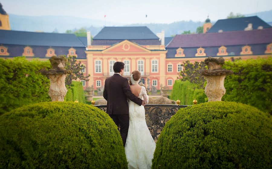 Hochzeitsfotograf Martin Kral (martinkral). Foto vom 23. Mai 2014