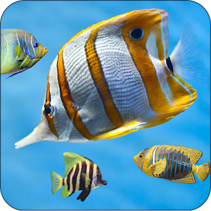 Download Fish Aquarium Live Wallpaper 3D Screensaver Free For PC Windows and Mac