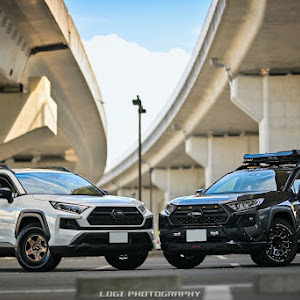 RAV4 MXAA54