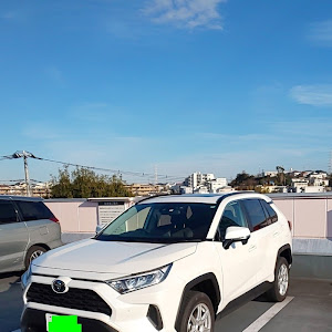 RAV4 AXAH52