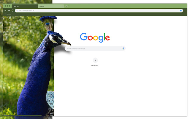 Blue peacock chrome extension