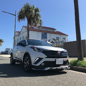 C-HR ZYX10