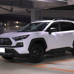 RAV4 AXAH54