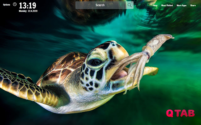 Sea Turtle New Tab Sea Turtle Wallpapers