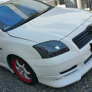 アベンシス AZT250