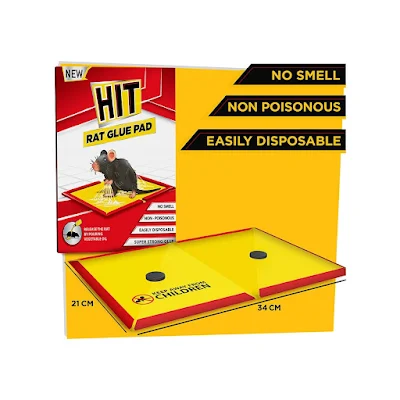Hit Rat Glue Pad - 1 pcs