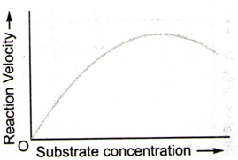 Enzymes