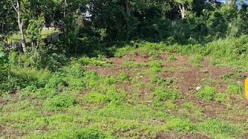 terrain à Les abymes (971)