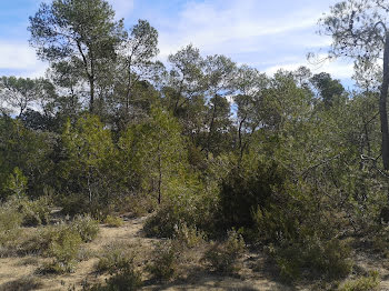 terrain à Vacquières (34)