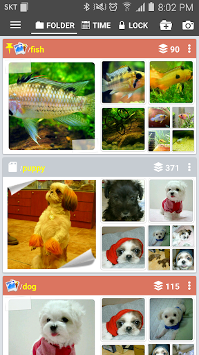 Photo lock album manage