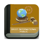 Droit International Public  Icon