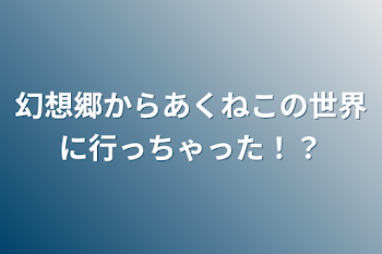 幻想郷からあくねこの世界に行っちゃった！？