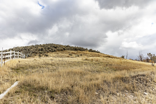 Land 5