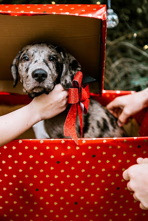 Photographe de mariage Emily-May Olson (emily-mayphoto). Photo du 27 décembre 2020