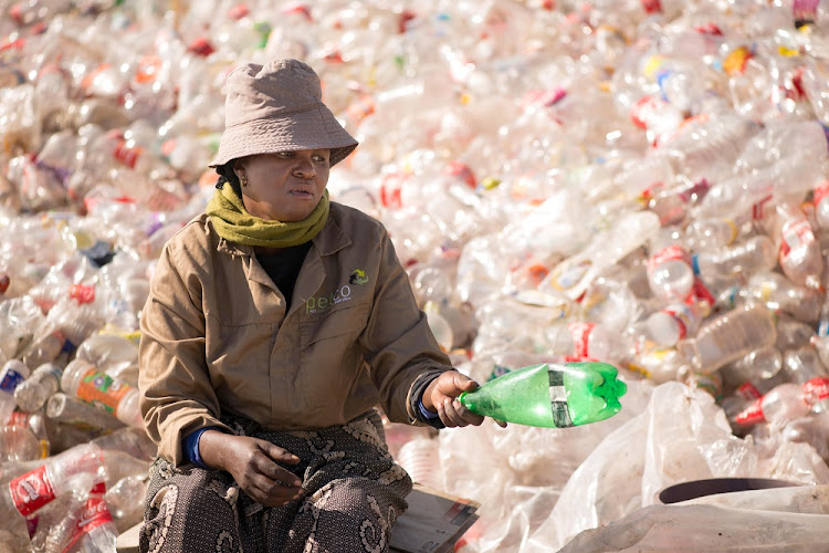 Bottle collector Violet Selota, of Thinana Cooperative in Senwabarwana, Limpopo.