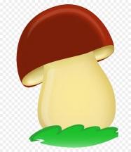 https://img2.freepng.ru/20180709/hc/kisspng-fungus-boletus-edulis-mushroom-drawing-child-5b43c5d652fd12.1873837115311682143399.jpg