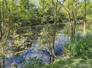 terrain à Les Bois d'Anjou (49)