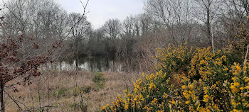 terrain à Nort-sur-Erdre (44)