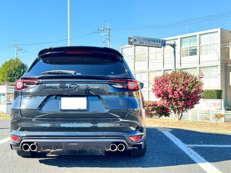 CX-8のお花・真冬・可憐・ポートレート・今年1年ありがとうございましたに関するカスタム事例の投稿画像2枚目
