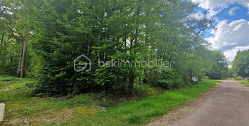 terrain à Saint-Hilaire-les-Andrésis (45)