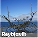 Download Visit Reykjavík Iceland For PC Windows and Mac 1.0