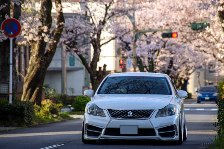 クラウンアスリートの桜のトンネル・桜と愛車・走らせればいぃのだ🤭・信号待ち・何も選ばれない継続中に関するカスタム事例の投稿画像5枚目