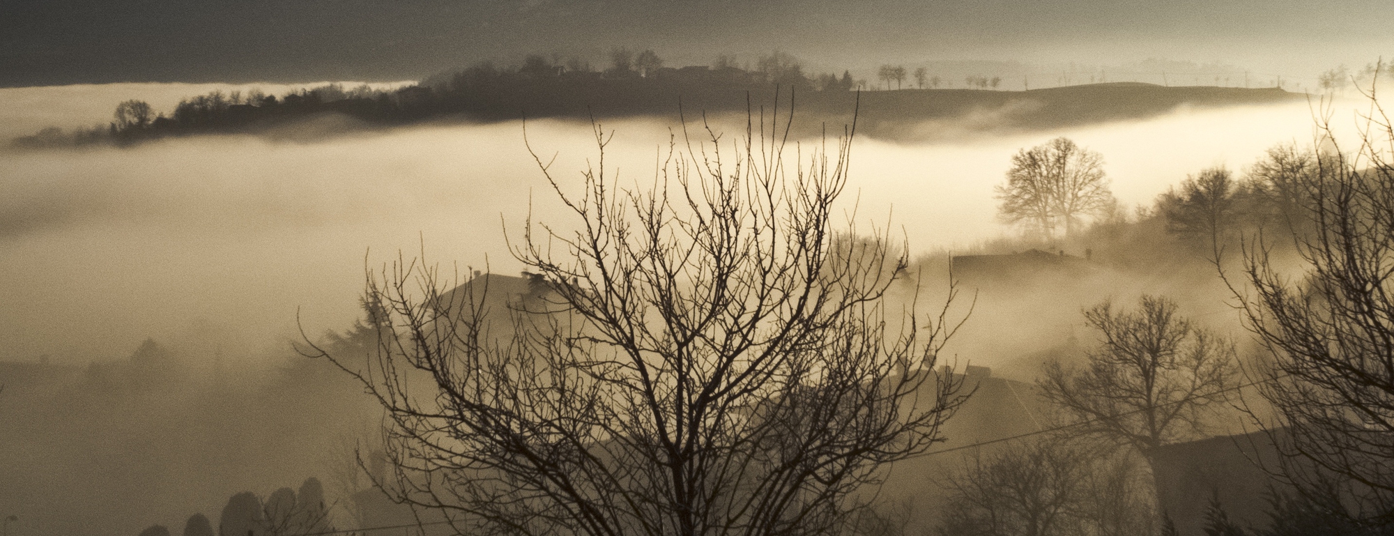 La Nebbia Agli Irti Colli di alberto corsini