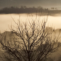 La Nebbia Agli Irti Colli di 