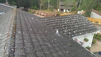 Roof cleaned of moss and pine needles. album cover