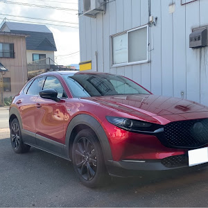 CX-30