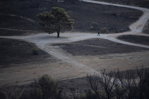 Šumski požar na severu Grčke i dalje van kontrole