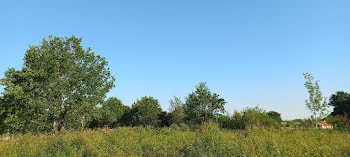 terrain à Montpon-Ménestérol (24)