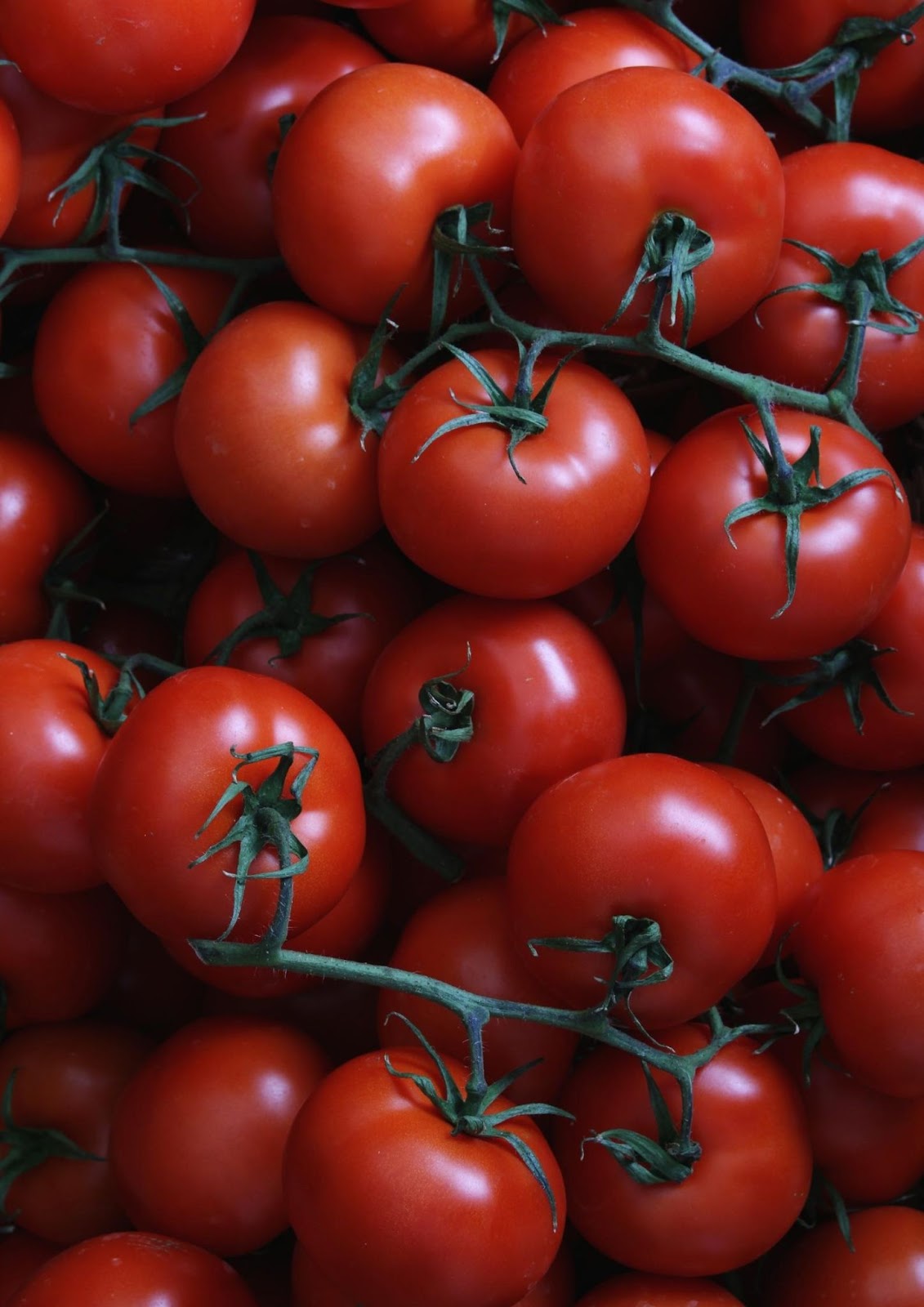 Fresh Tomatoes Best Substitutes For Diced Tomatoes