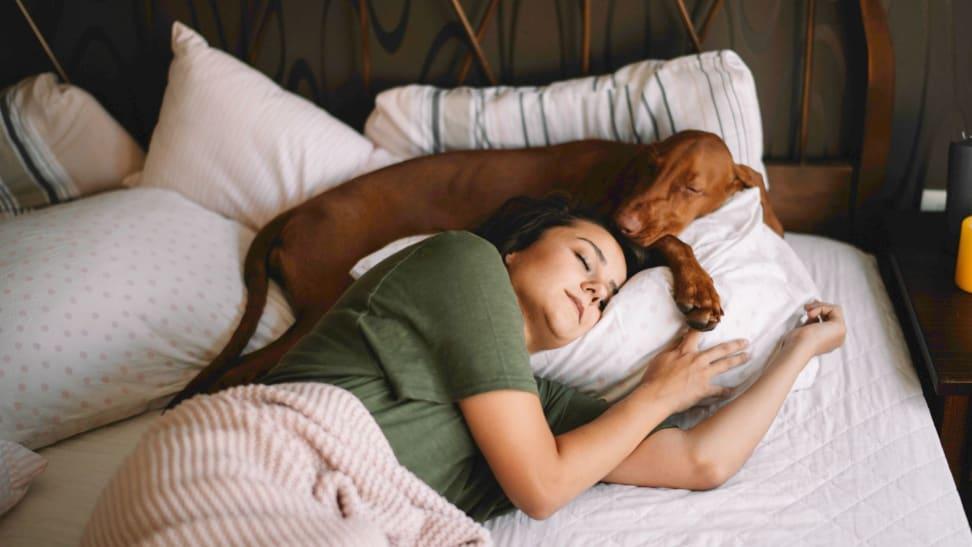 Should you let your dog or cat sleep in bed with you? - Reviewed