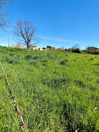 terrain à Saint-Lys (31)