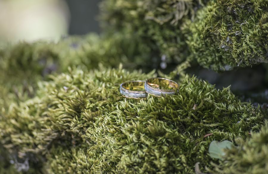 Fotógrafo de bodas Jelena Velpler (jelenavelpler). Foto del 5 de julio 2017