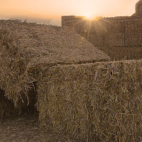 Campo agricolo di 