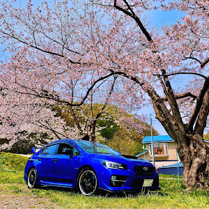 WRX S4