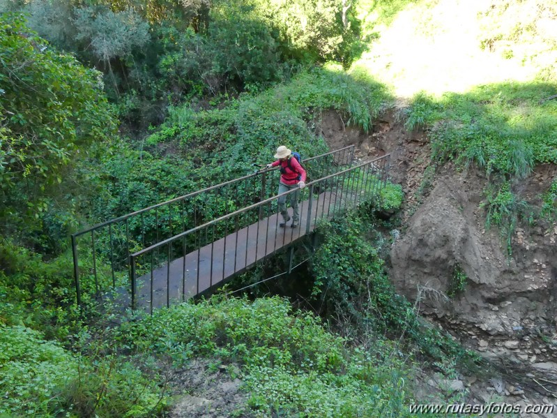 Sendero Las Quebradas (Vejer de la Frontera)