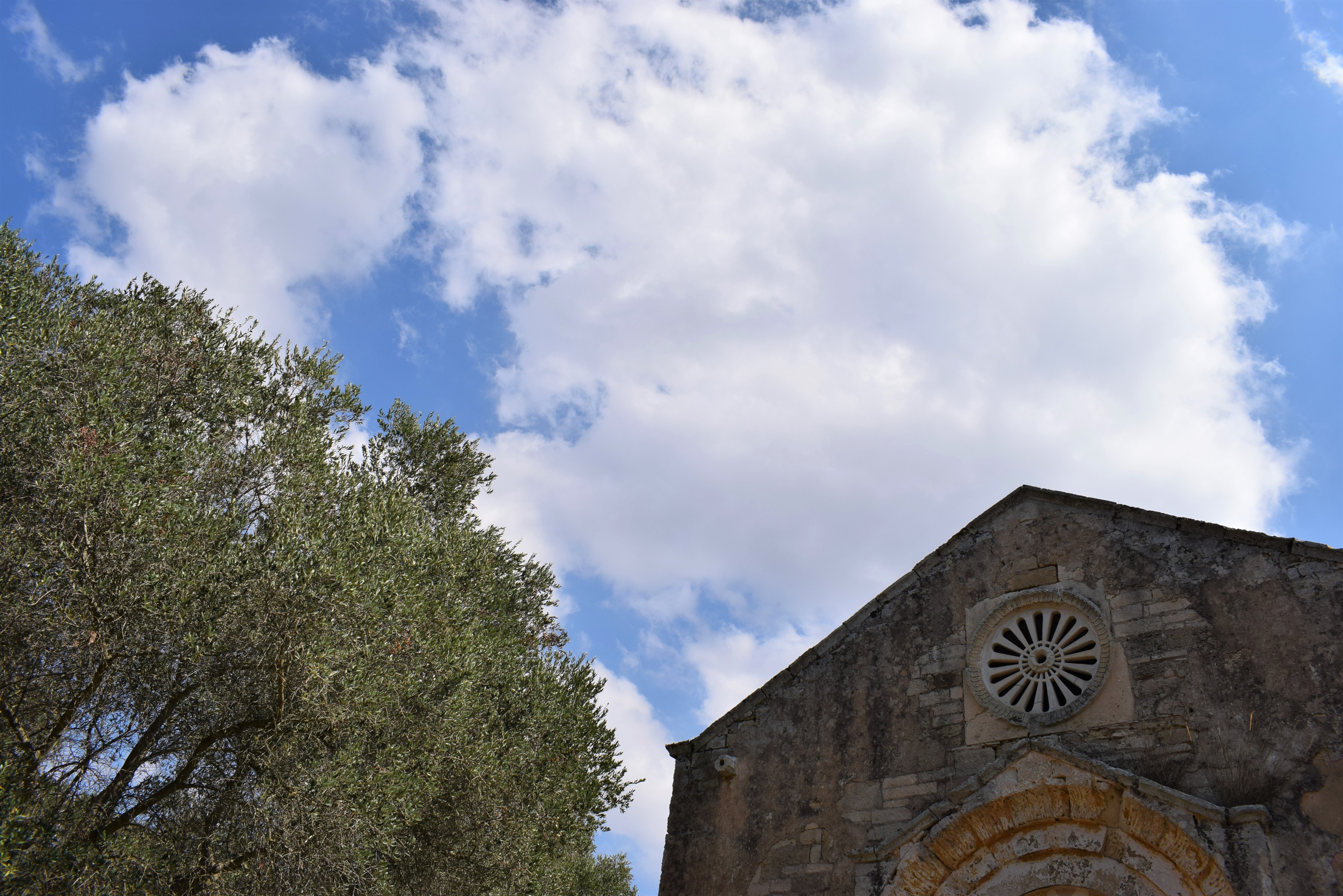 Dal basso ... alla Madonna dell'Alto di momapenta