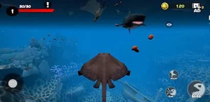 FEEDING AND GROW - 3D FISH - APK Download for Android