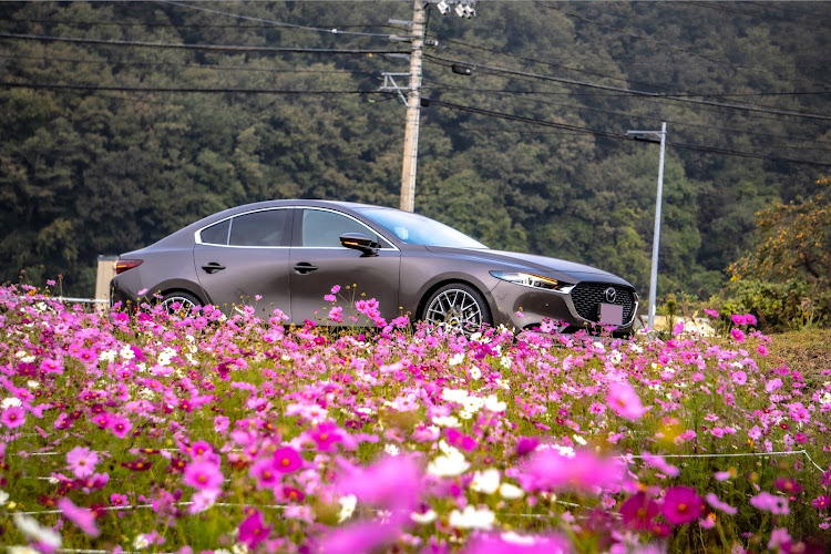 MAZDA3のコスモス畑・コスモスとコラボ・畦道・川西郷の駅・カメ活に関するカスタム事例の投稿画像1枚目
