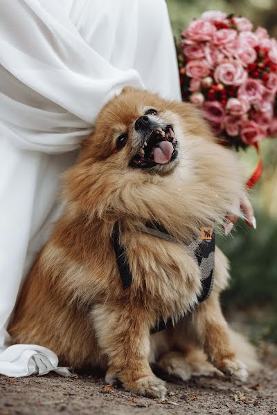 Wedding photographer Dmitriy Gladkov (gladkovdmitry). Photo of 17 October 2023