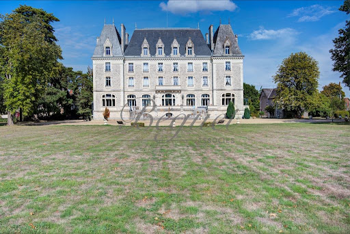 Prestige house for sale in Azay-le-Rideau (37190) - Classic chateau with tree-lined garden