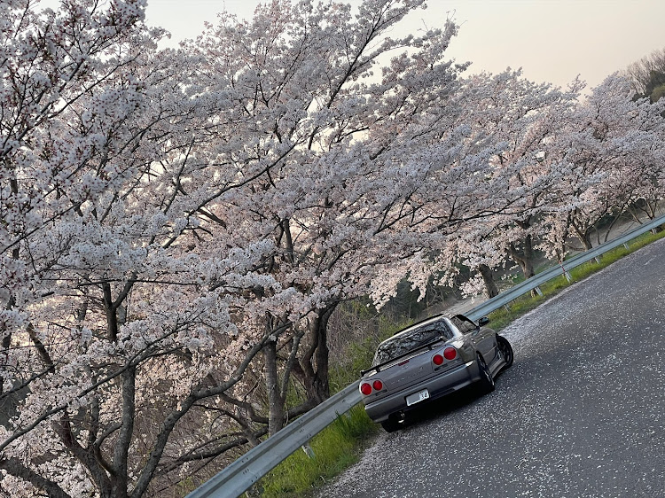 の投稿画像2枚目