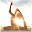 yoga Fitness and Healthy Tips Download on Windows