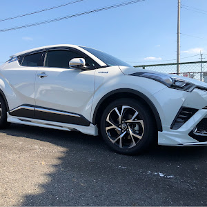 C-HR ZYX10