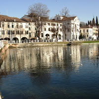 TREVISO di 