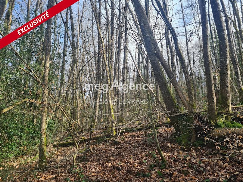 Vente terrain  4190 m² à Sainte-Gemmes-le-Robert (53600), 8 500 €