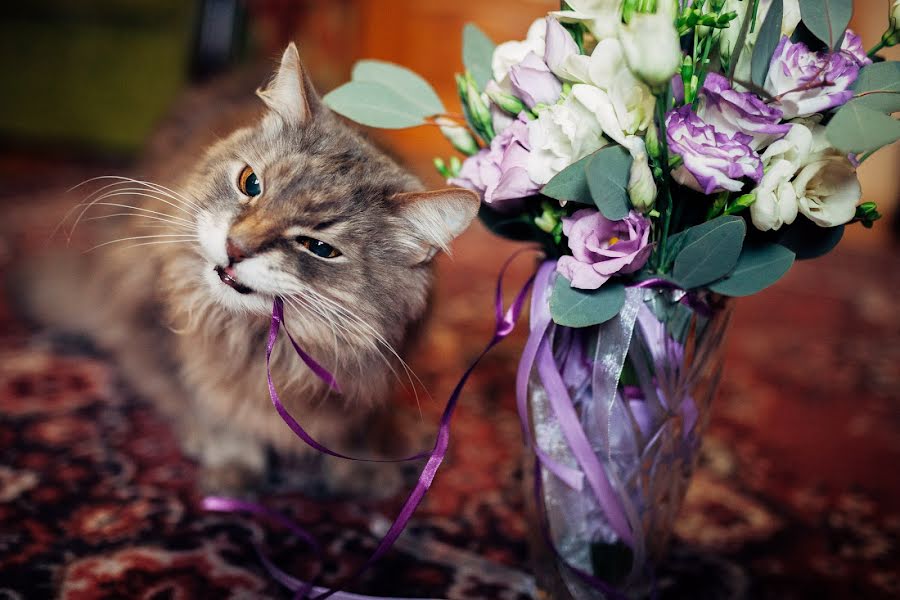 Fotografo di matrimoni Sergey Volkov (volkway). Foto del 3 maggio 2017